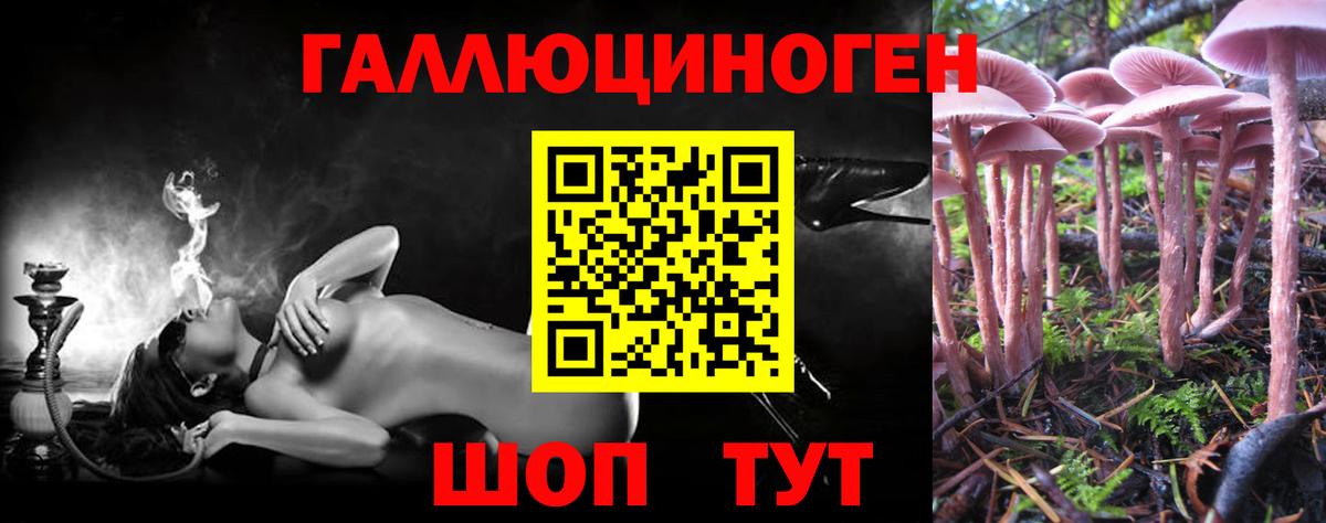 Галлюциногенные грибы Psilocybe Орехово-Зуево
